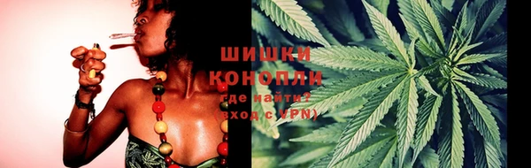 гидропоника Зеленодольск