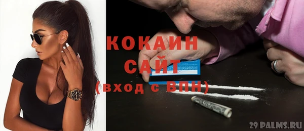 амф Щигры