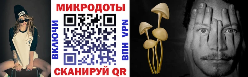 Галлюциногенные грибы GOLDEN TEACHER Инсар